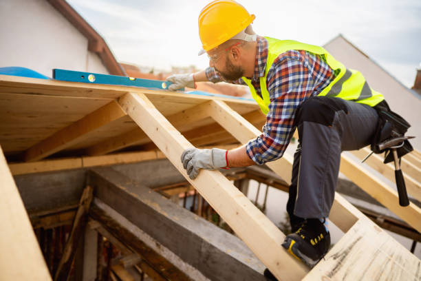 Best Roof Gutter Cleaning  in Dayton, TX